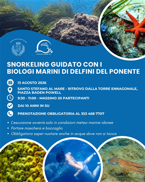 Anche i grandi fanno snorkeling