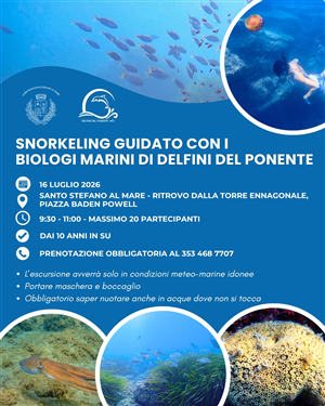 Snorkeling