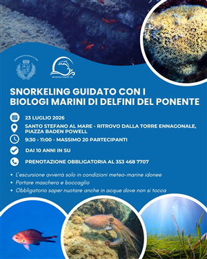 Snorkeling...Piccoli delfini cerscono